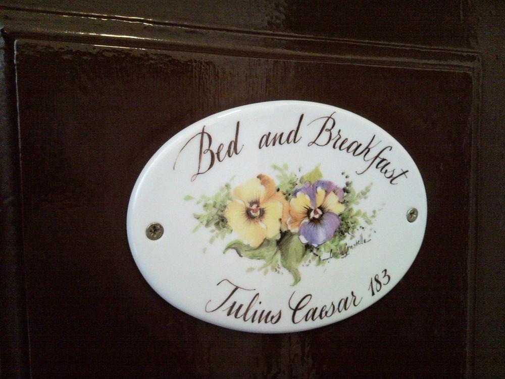 Guest house Blue Vatican Rome